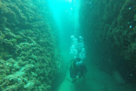 Diving in Batroun