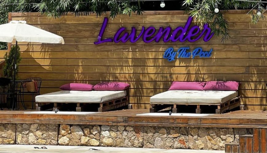 Lavender by the Pool